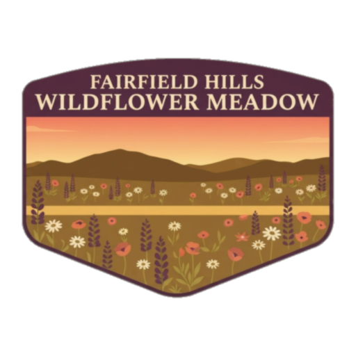 Fairfield Hills Wildflower Meadow